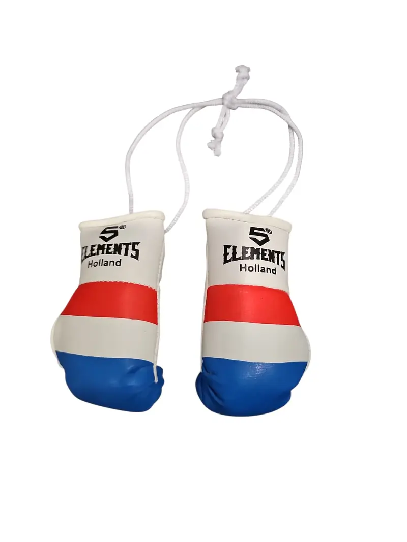 5Elements Mini-Boxhandschuhe Holland