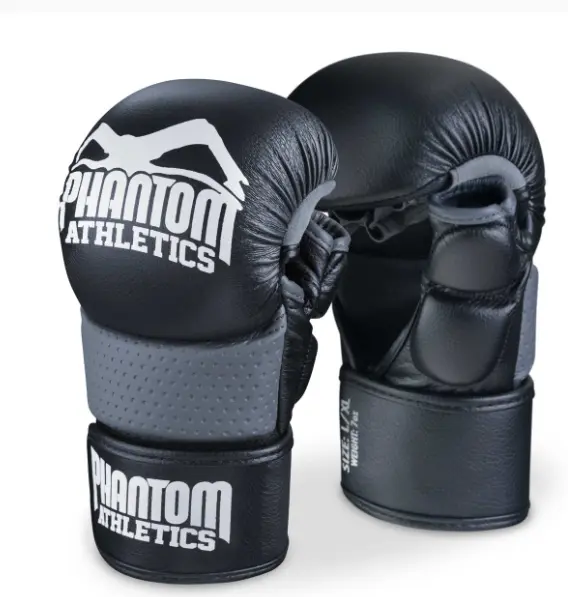 MMA Handschuhe Riot