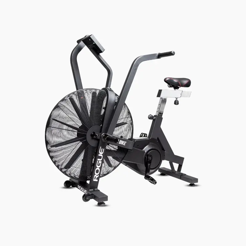 Rogue Echo Bike (gebraucht)